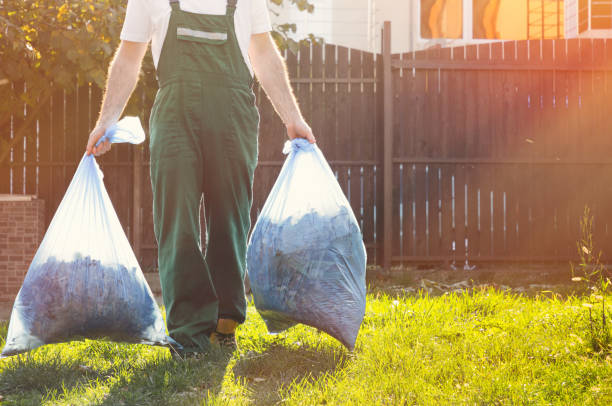 Best Dumpster Rental Services  in Park View, IA